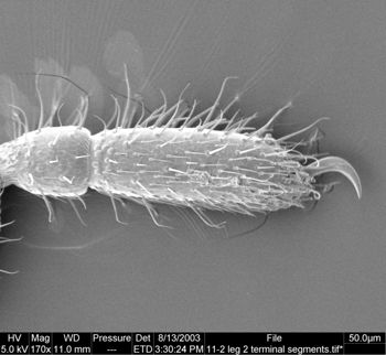 Media type: image;   Invertebrate Zoology 134647